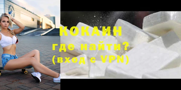 сатива Дмитриев