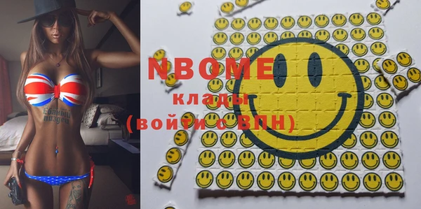 стаф Горняк