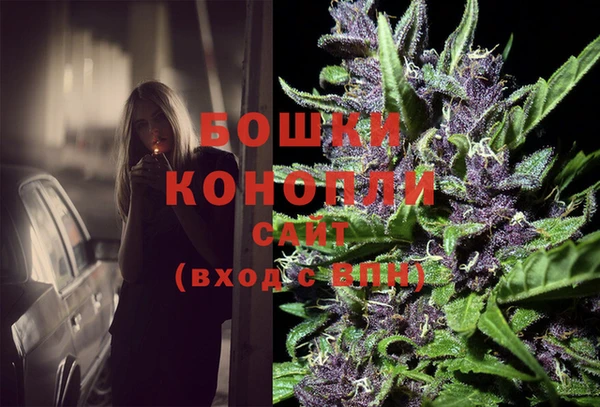стаф Горняк