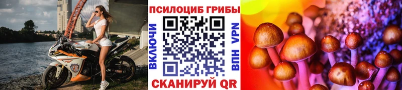 Купить  Урень  Псилоцибиновые грибы Magic Shrooms 
